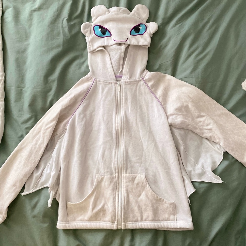 How to Train Your Dragon Hoodie